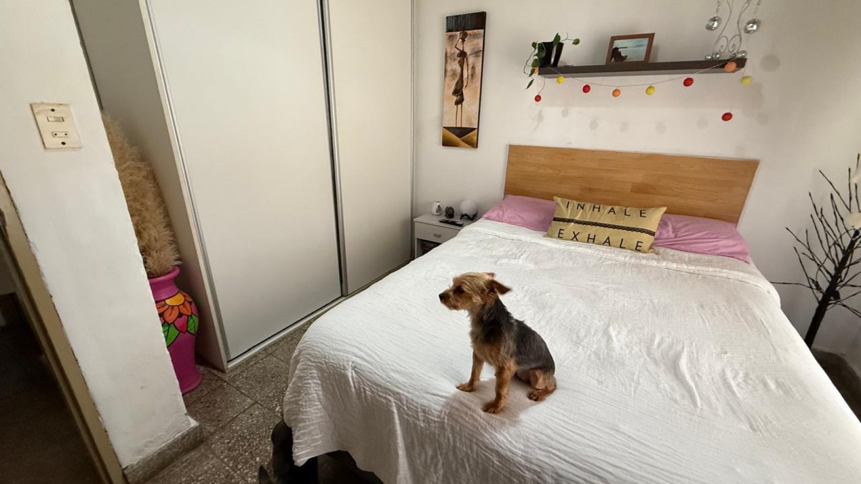 Casa con 2 Dorm. en Terreno de 450 m² en Venta en Villa Amelia